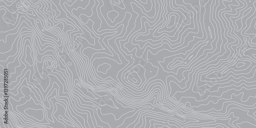 Topographic Map Background with Detailed Contour Lines and Geometric Circles: An Abstract Representation of Geographic Features, Elevation Changes, and Natural Terrain in a Clean, Modern Design"