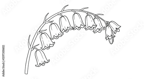 Bluebell flower stem coloring page outline illustration with multiple delicate drooping bell shaped blooms