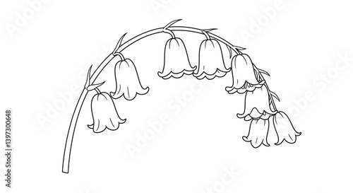 Line drawing coloring sheet of elegant bluebell plant stem showcasing hanging bell flowers for coloring
