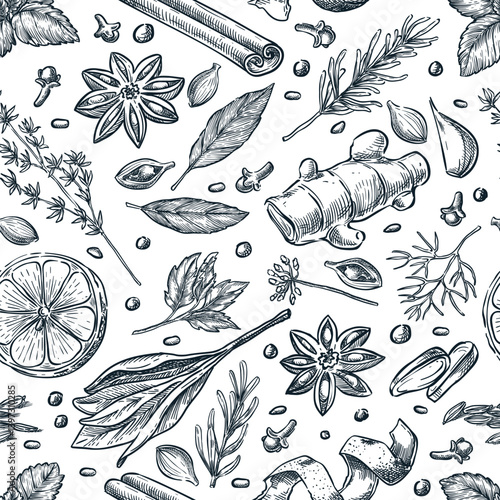 Spices herbs seamless pattern. Hand drawn sketch vector herbal background. Wrapping paper, print, package design