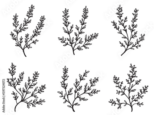 Sea Lavender single line art on white background