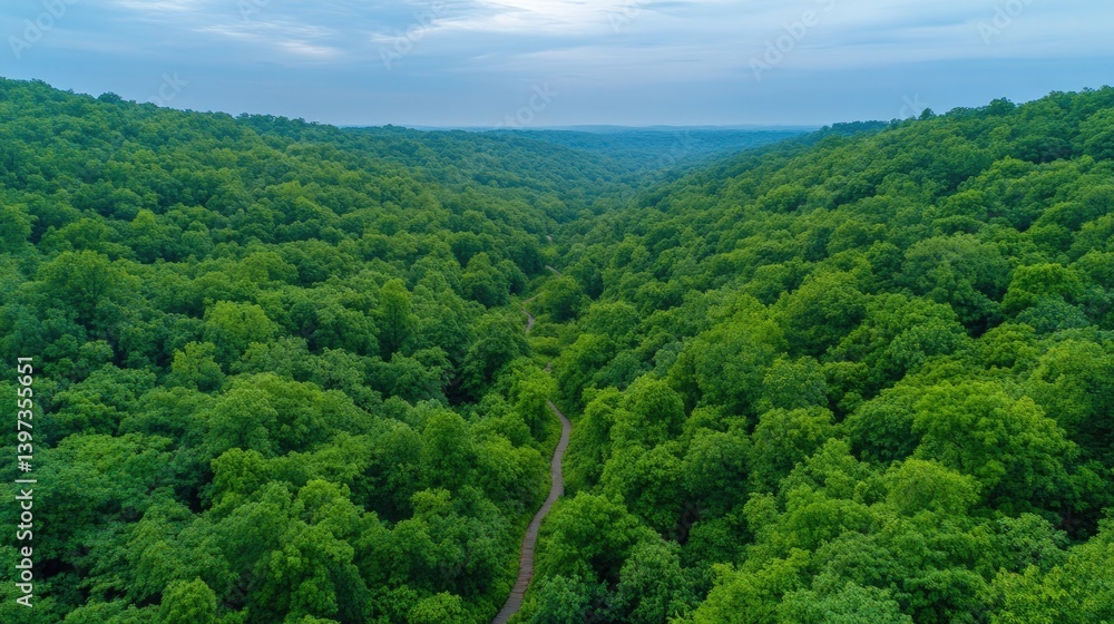 Lush green forest stretches endlessly, showcasing diverse foliag Lush green forest stretches endlessly, showcasing diverse foliag