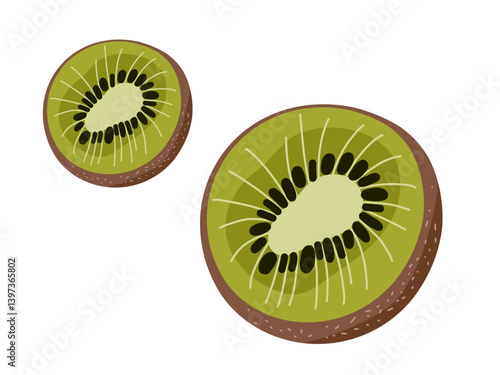 Kiwi fruit in section on a white background. The concept of healthy nutrition and vitamins. Vector illustration