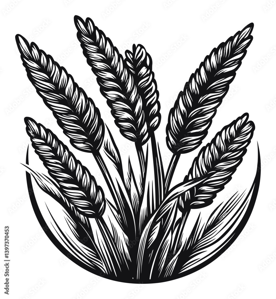 Obraz premium Vintage Black and White Wheat Illustration for Agriculture Design