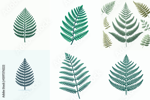 Clean vector drawing of a tropical fern leaf, flat and minimal design, white background