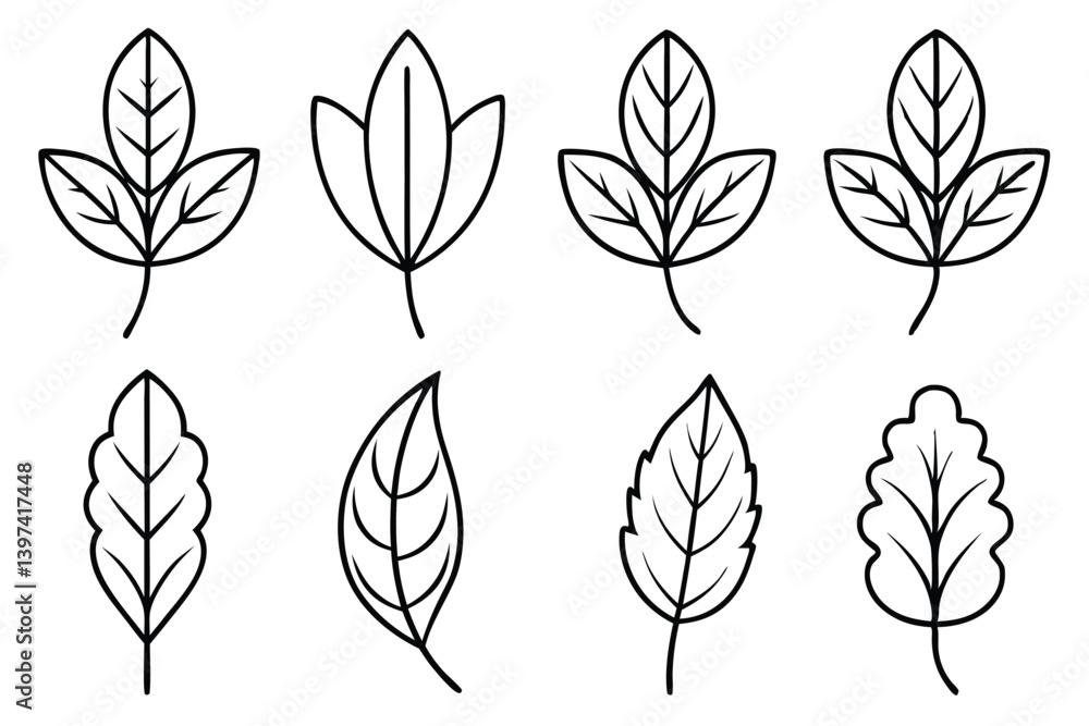 Sweet Pea Leaf Vector Set Sweet Pea Leaf Vector Set