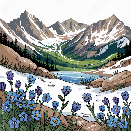 Colorado Alpine Forget-Me-Nots in Mountain Valley