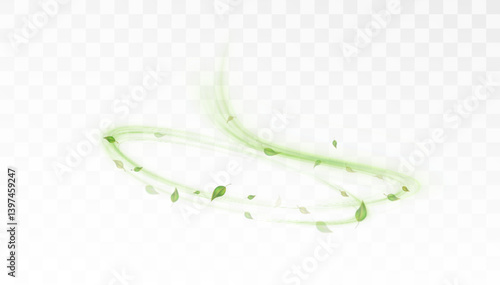 Green leaves spinning in a soft spiral with transparent motion trails on a clear background. Ideal for eco visuals, natural energy concepts, or organic product design overlays.

