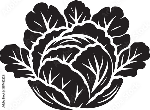 Cabbage silhouette vector art illustration. Cabbage vector icon. 