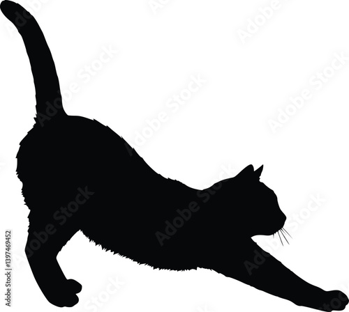 Silhouette of a stretching cat, capturing natural feline behavior and flexibility