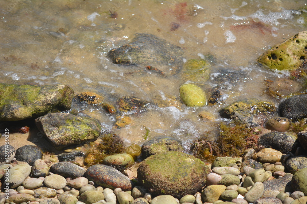 Rocky shoreline with clear water and pebbles under sunlight during low tide Rocky shoreline with clear water and pebbles under sunlight during low tide