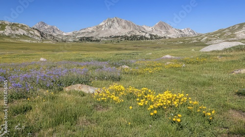 Obraz na płótnie Vibrant Wildflower Meadow and Rocky Mountain Range Under a Clear Blue Sky w salonie