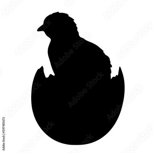 Chick hatching from egg - Easter  