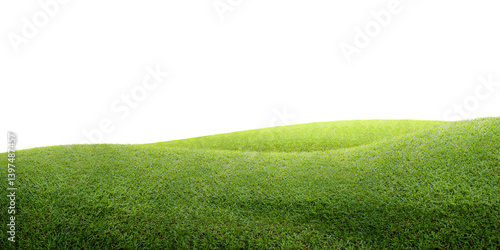 green grass field/Green grassy hills stretch gently under a clean white background, creating a simple and peaceful natural scene.