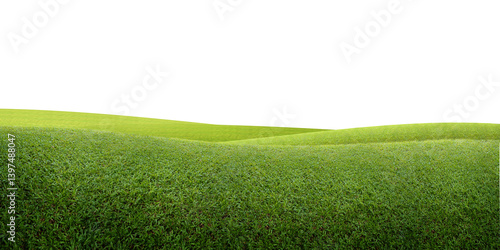 Green grassy hills stretch gently under a clean white background, creating a simple and peaceful natural scene.