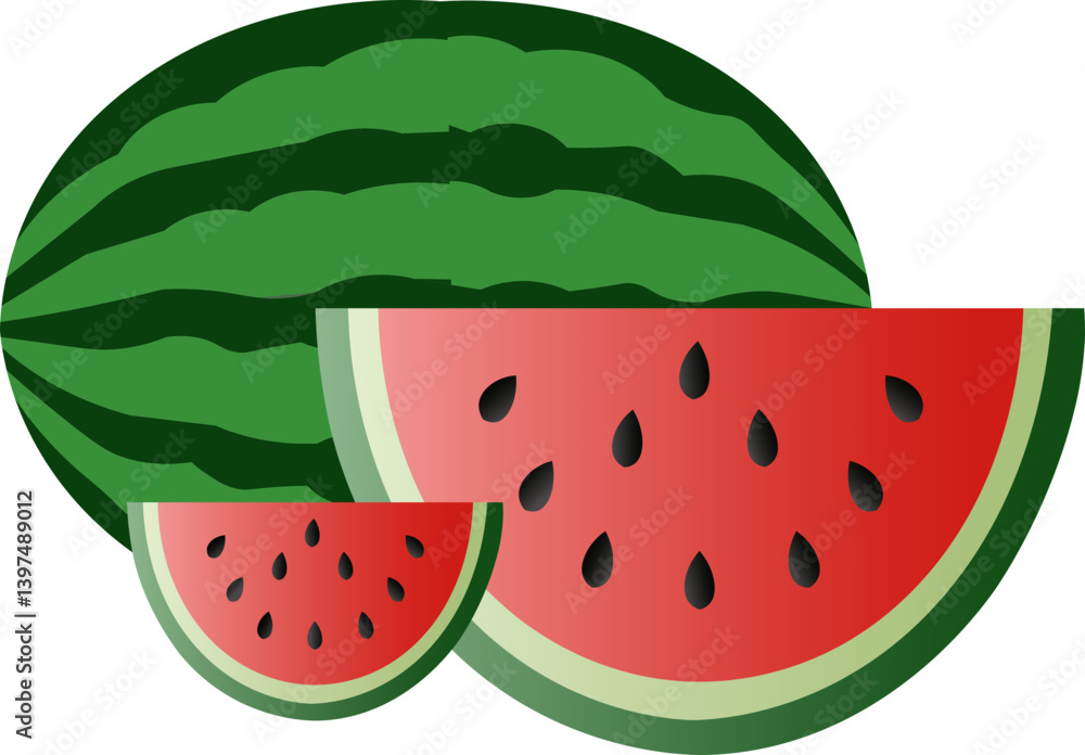 watermelon vector illustration watermelon vector illustration
