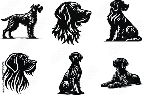 German Wirehaired Pointer Dog Head Illustration, Realistic Pet Drawing
