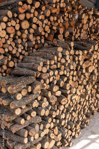 Obraz na płótnie Stack of firewood, natural heating source for winter home w salonie