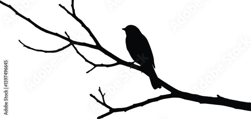 Silhouette of a bird perched on a tree branch against a plain white background, highlighting simplicity and elegance