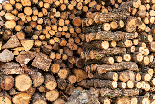 Obraz na płótnie Stack of firewood, natural heating source for winter home w salonie
