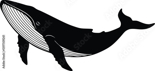 Silhouette of a whale in side profile with detailed baleen plates, highlighting marine life and elegance