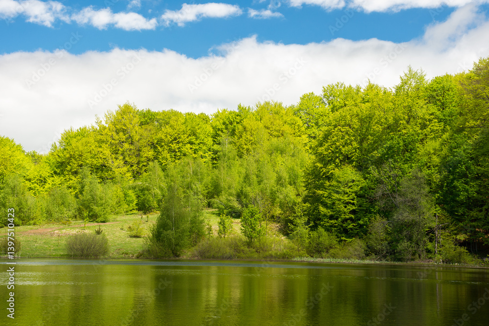 lake among forest in spring. landscape with beech trees in green foliage near water. recreation scenery in carpathian mountain on a sunny day. calm nature background for fishing in ukraine