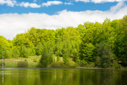 lake among forest in spring. landscape with beech trees in green foliage near water. recreation scenery in carpathian mountain on a sunny day. calm nature background for fishing in ukraine