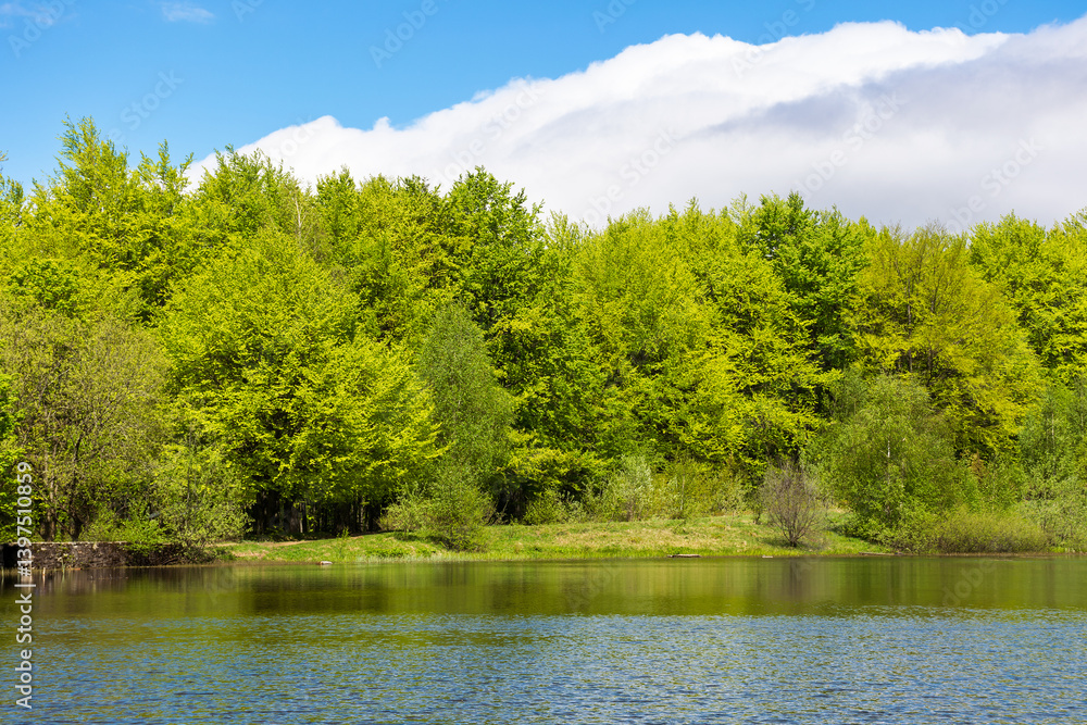 lake among forest in spring. landscape with beech trees in green foliage near water. recreation scenery in carpathian mountain on a sunny day. calm nature background for fishing in ukraine