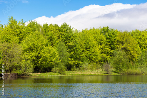 Obraz na płótnie lake among forest in spring. landscape with beech trees in green foliage near water. recreation scenery in carpathian mountain on a sunny day. calm nature background for fishing in ukraine w salonie
