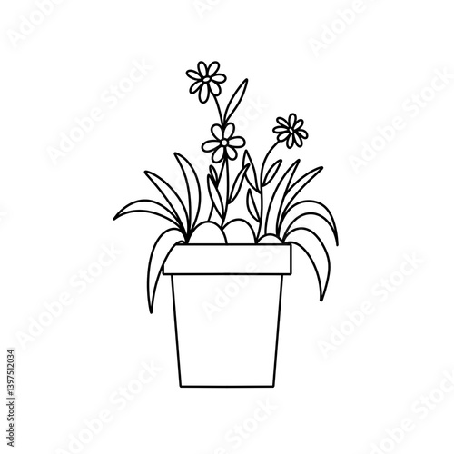 A potted plant with a white background