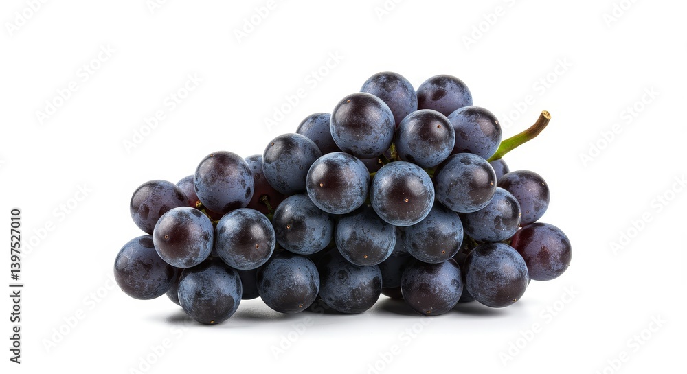 Fresh Ripe Black Grapes - A cluster of dark-purple grapes, freshly picked and ready to eat, isolated on a white background Fresh Ripe Black Grapes - A cluster of dark-purple grapes, freshly picked and ready to eat, isolated on a white background