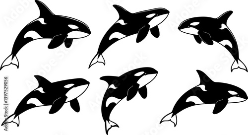 Set of killer whales. Collection of stylized orca whale. Black white vector illustration of sea predatory fish. Tattoo.
