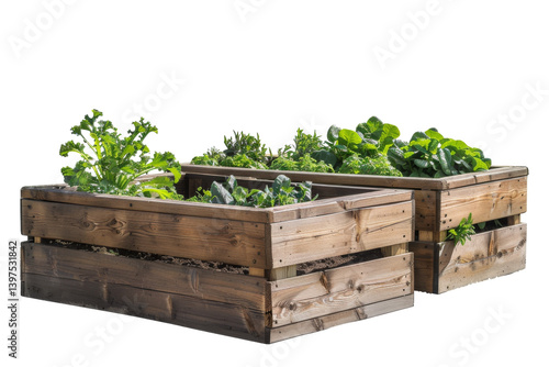 Raised Garden Beds Photography Isolated On Transparent Background