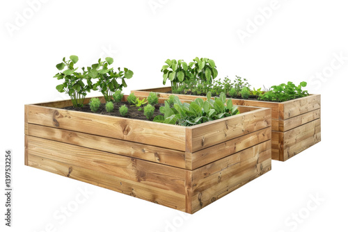 Practical and Decorative Raised Garden Beds Isolated On Transparent Background