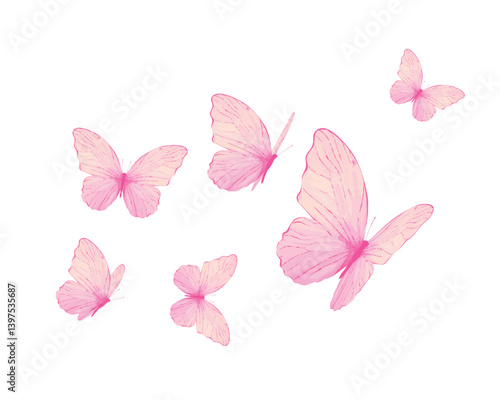 pink butterfly on white background	