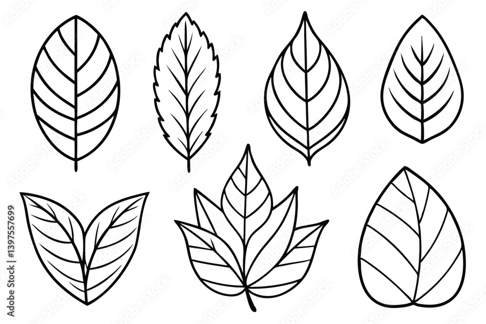 Nature Inspired Teak Leaf Set Nature Inspired Teak Leaf Set