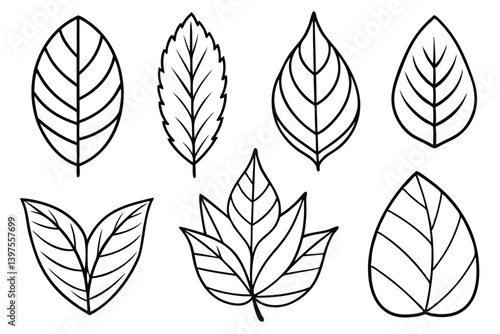 Nature Inspired Teak Leaf Set