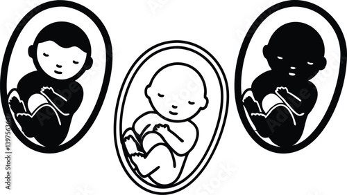 Simple black and white illustrations of three fetuses in the womb.