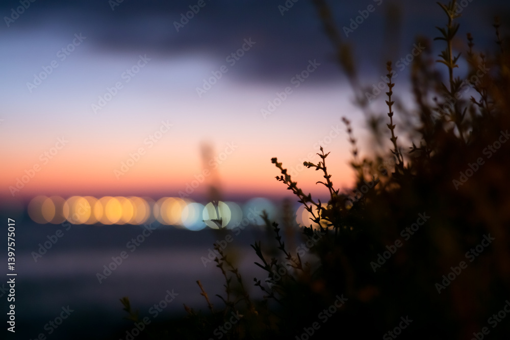 Obraz premium Out-of-focus city lights create a dreamy bokeh effect in the evening, while dry wildflowers in the foreground add a touch of natural calm to the twilight atmosphere, soft focus, wallpaper