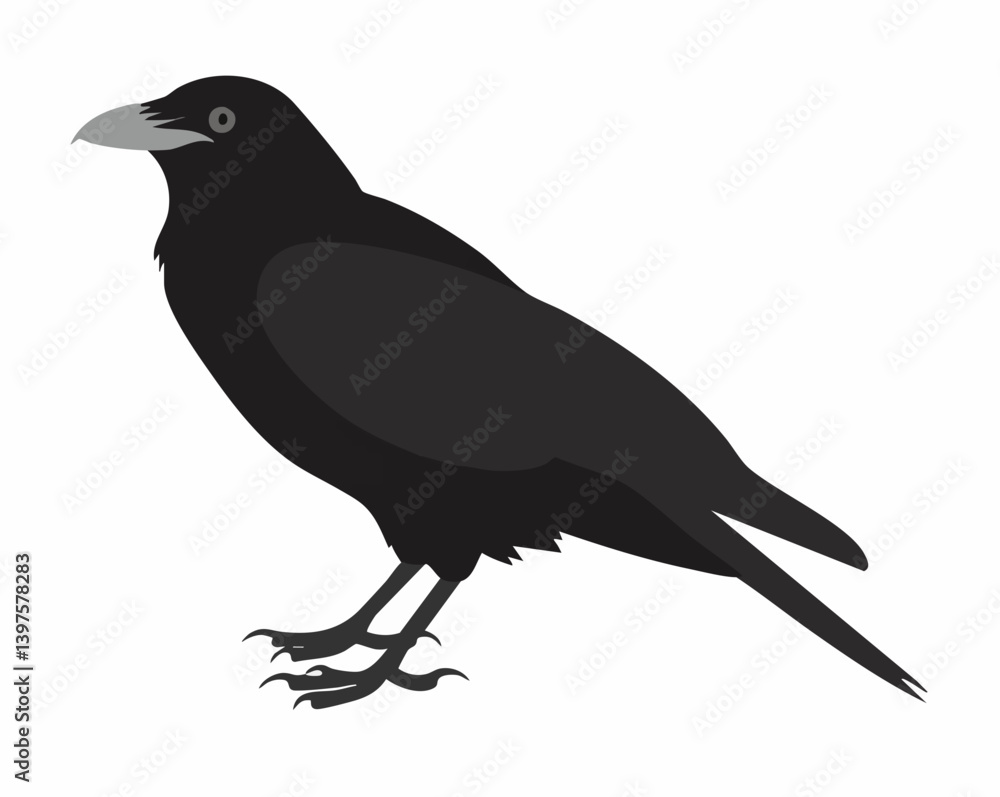 Fototapeta premium Black Bird Vector Illustration. Vector Image