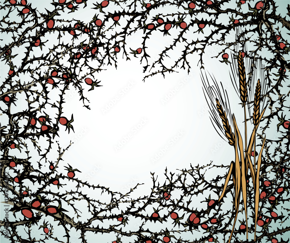 Fototapeta premium A Bible parable. The grain fell into the thorns. Vector drawing