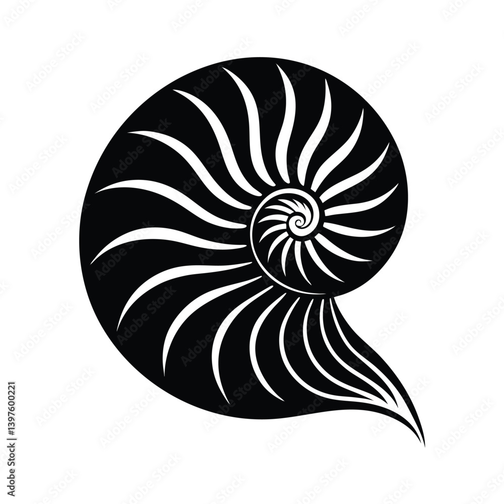 Nautilus Shell Curve Vector Art Nautilus Shell Curve Vector Art