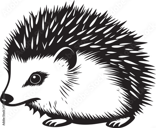 Hedgehog Mating Rituals Understanding Their Courtship and Reproductive Behaviors
