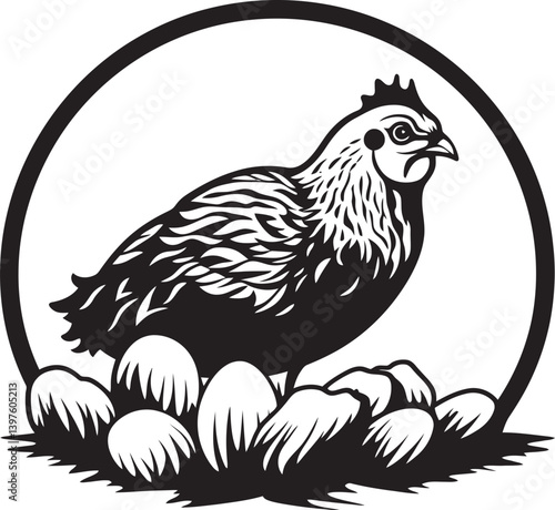 The Broody Hen  Commitment to Life How She Cares for Her Eggs During the Incubation Period