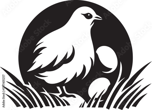 The Miracle of Life How Hens Turn  Warm  and Protect Their Eggs During the Incubation Process
