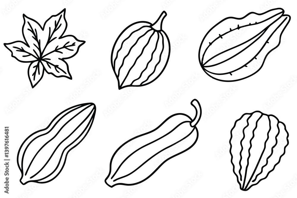Fresh Zucchini Leaves Vector Bundle Fresh Zucchini Leaves Vector Bundle