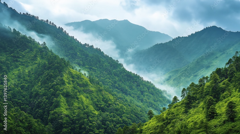 Fototapeta premium Misty green mountains covered in lush forest under a dramatic cloudy sky.