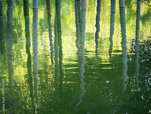 Bamboo forest reflected in still pond with zen composition and copy space on left