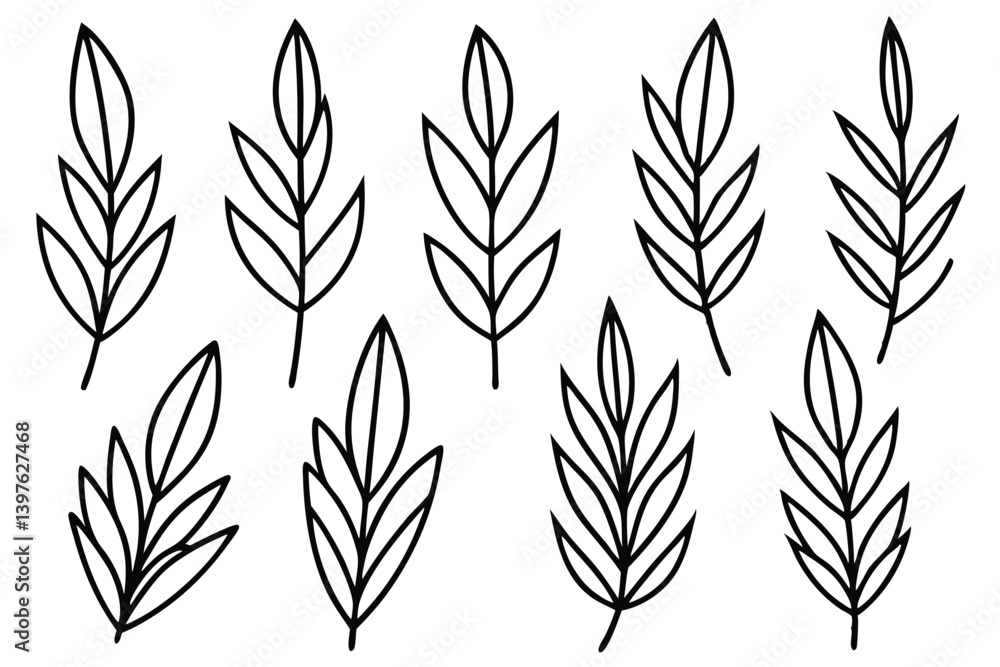 Elegant Willow Leaf Vector Collection Elegant Willow Leaf Vector Collection