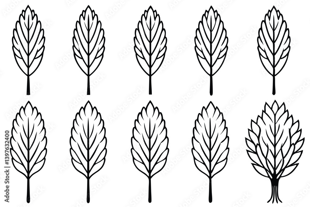Whimsical Willow Leaf Sketch Collection Whimsical Willow Leaf Sketch Collection